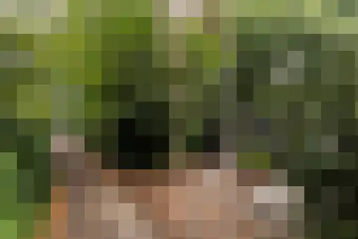 Beverlaan 2 Son en Breugel thumbnail 4