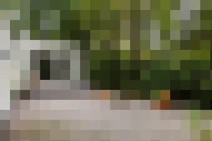 Beverlaan 2 Son en Breugel thumbnail 40