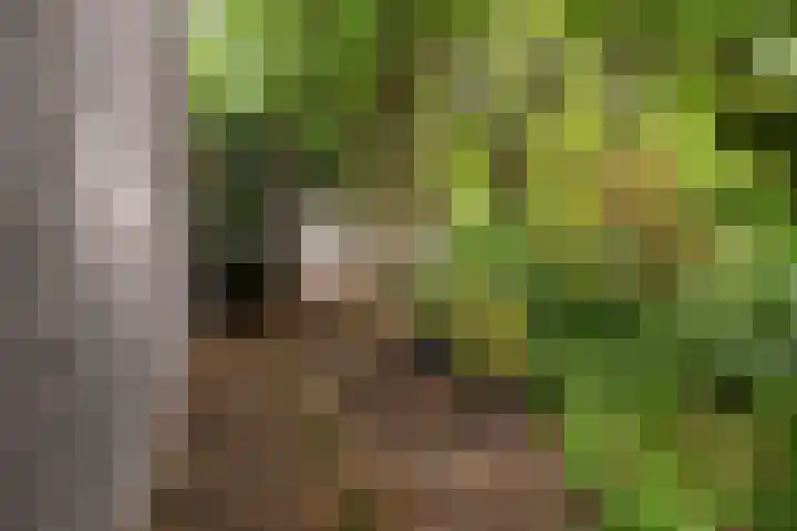 Beverlaan 2 Son en Breugel thumbnail 43