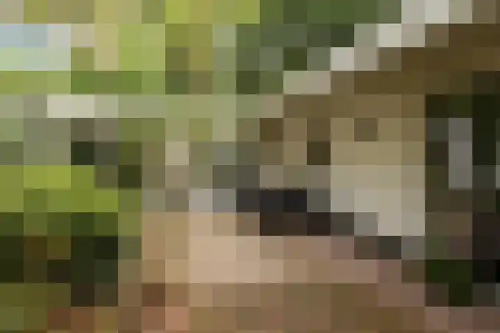 Beverlaan 2 Son en Breugel thumbnail 44