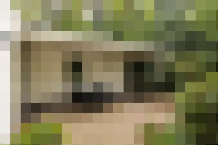 Beverlaan 2 Son en Breugel thumbnail 45