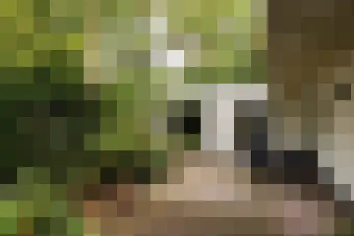 Beverlaan 2 Son en Breugel thumbnail 47