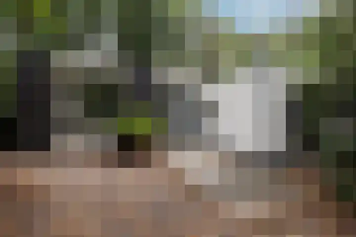 Beverlaan 2 Son en Breugel thumbnail 5