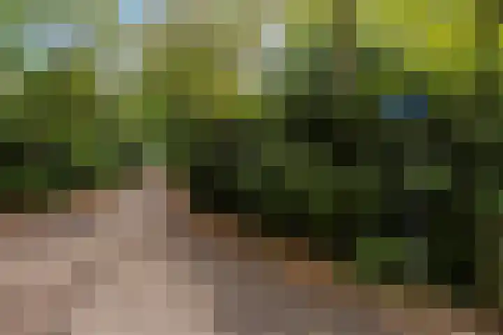 Beverlaan 2 Son en Breugel thumbnail 6