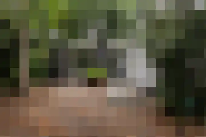 Beverlaan 2 Son en Breugel thumbnail 7