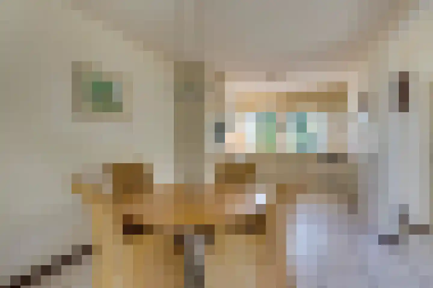 Beverlaan 5 Son en Breugel thumbnail 11