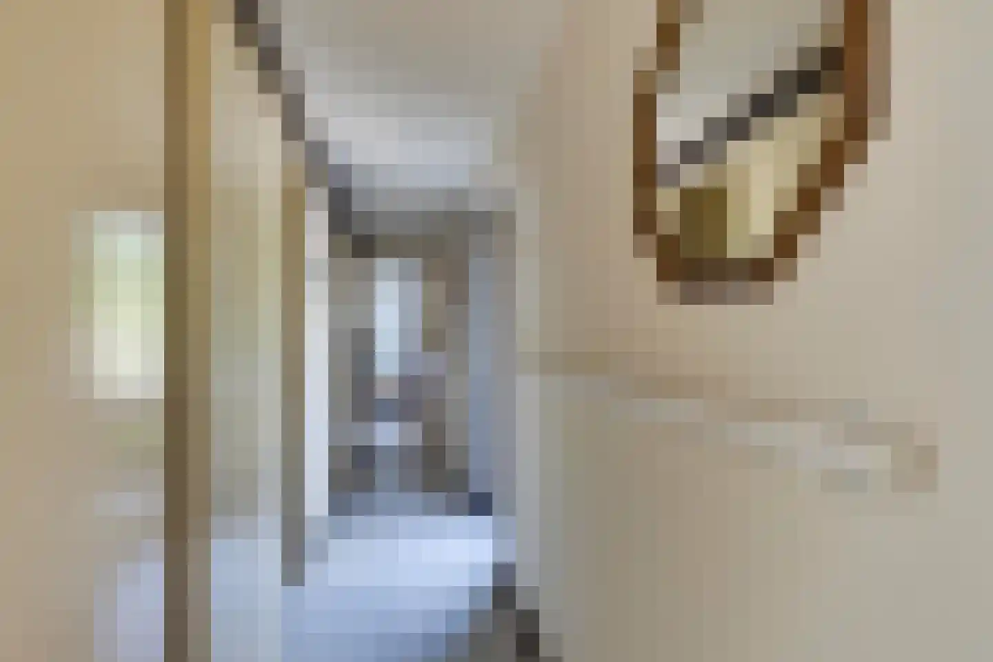 Beverlaan 5 Son en Breugel thumbnail 33