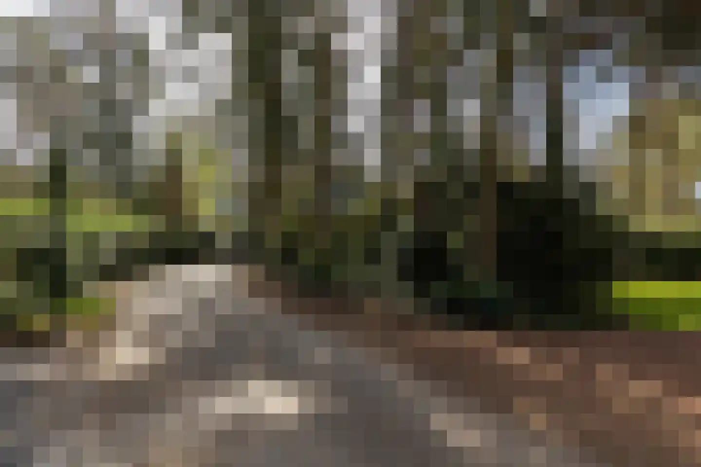 Beverlaan 5 Son en Breugel thumbnail 5
