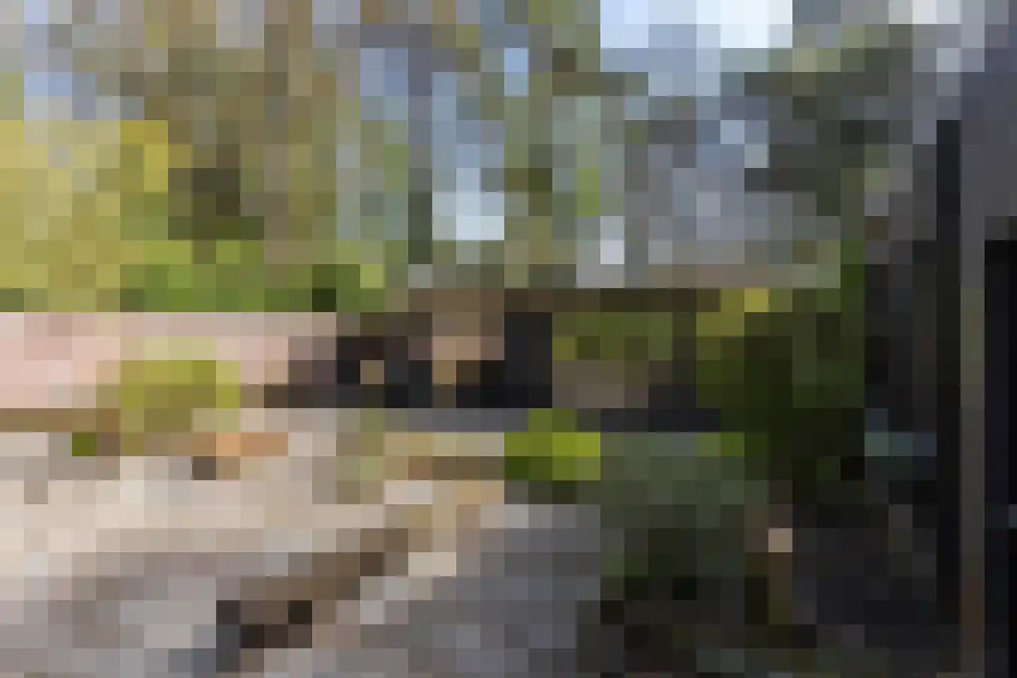 Beverlaan 5 Son en Breugel thumbnail 57