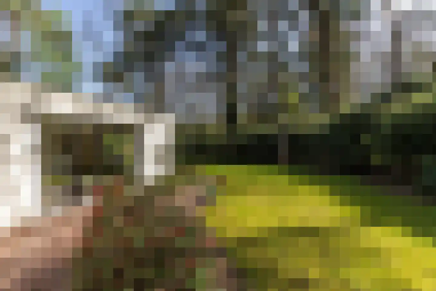 Beverlaan 5 Son en Breugel thumbnail 64