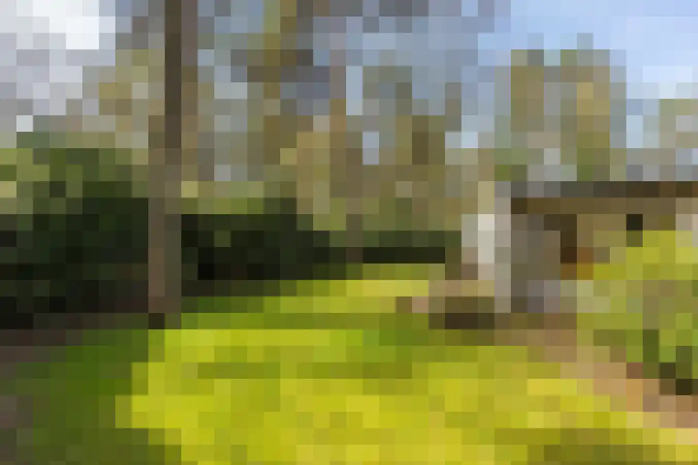Beverlaan 5 Son en Breugel thumbnail 68