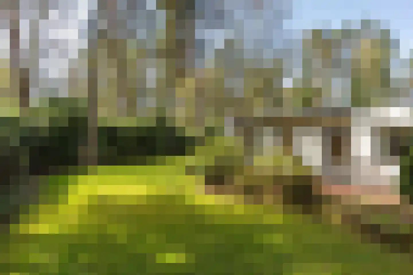 Beverlaan 5 Son en Breugel thumbnail 69