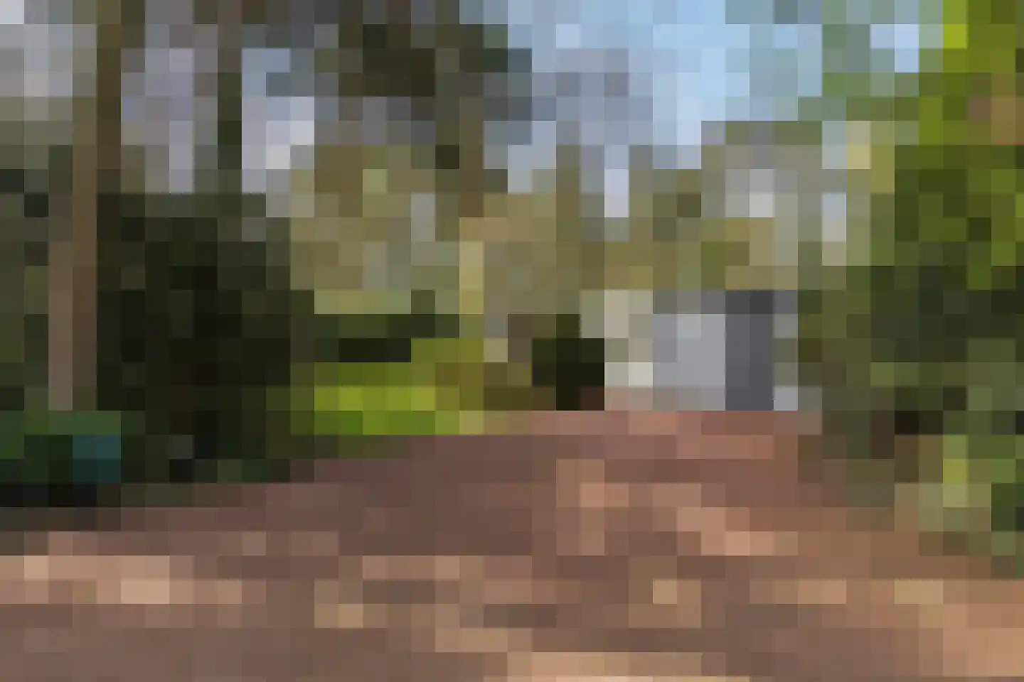 Beverlaan 5 Son en Breugel thumbnail 7