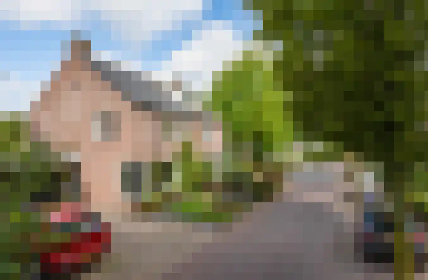 Beverlaan 5 Waalre thumbnail 43