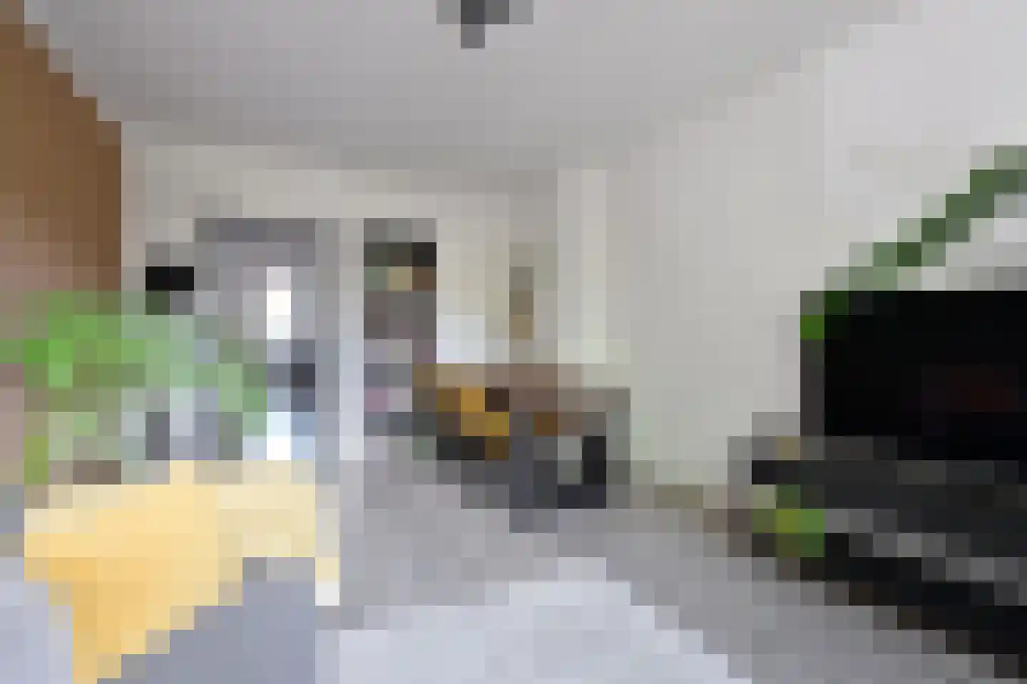 Beverlaan 50 Hilversum thumbnail 4