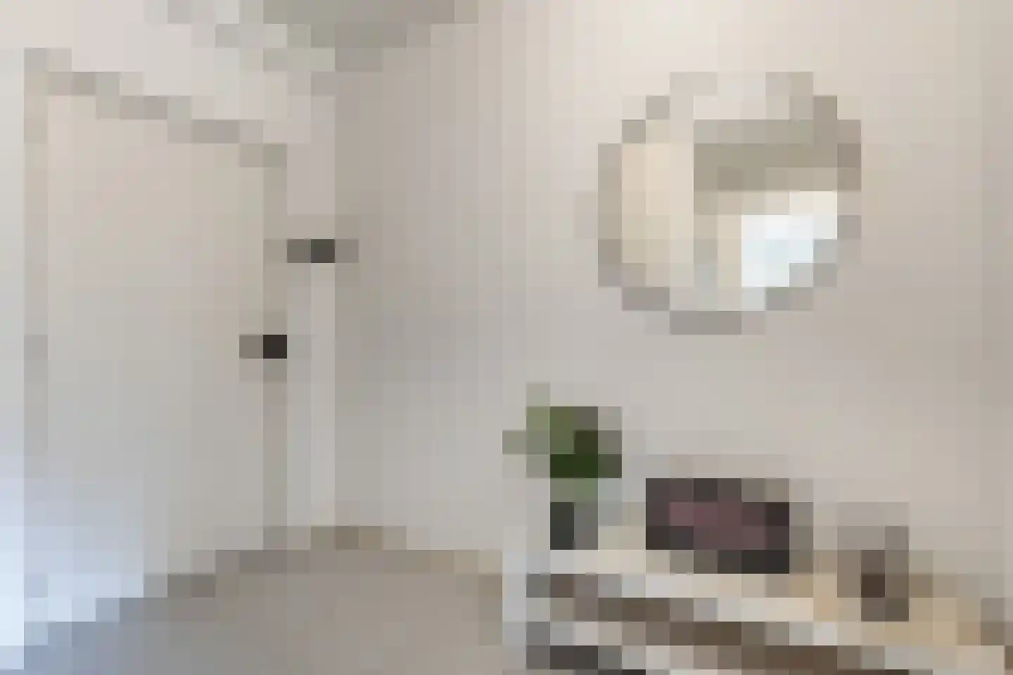 Beverloweg 31 Eindhoven thumbnail 10