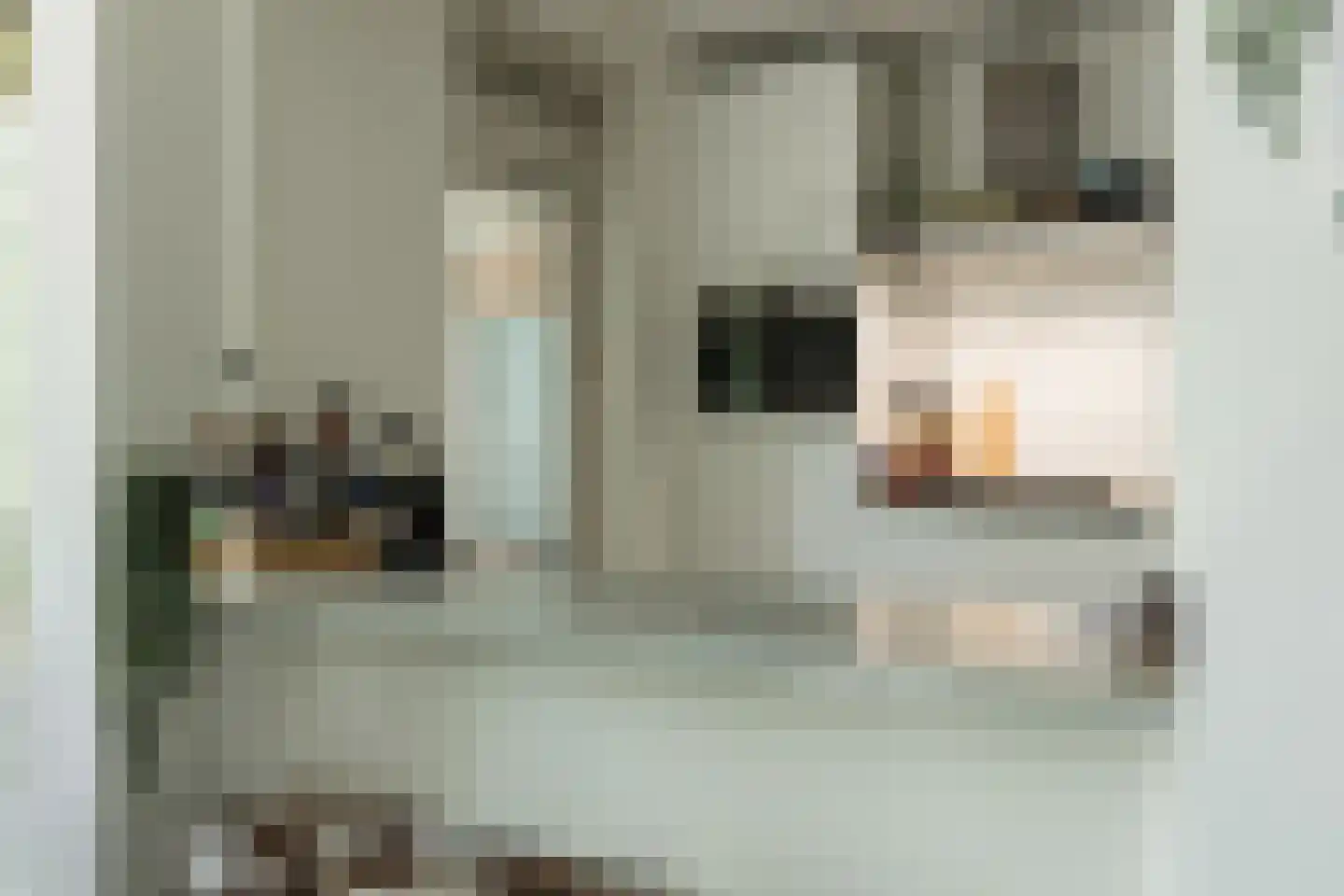 Beverloweg 31 Eindhoven thumbnail 15