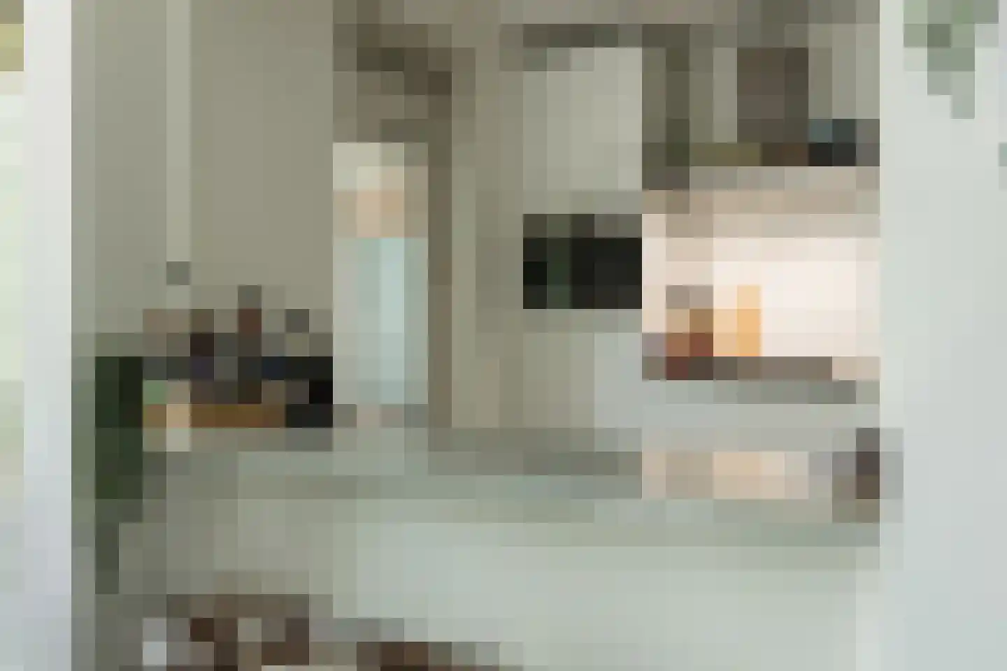 Beverloweg 31 Eindhoven thumbnail 16