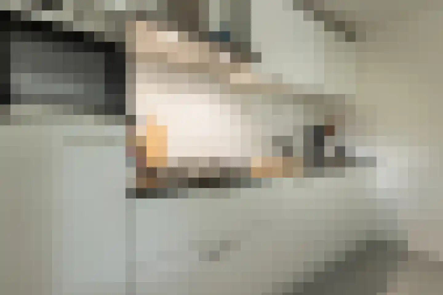 Beverloweg 31 Eindhoven thumbnail 18
