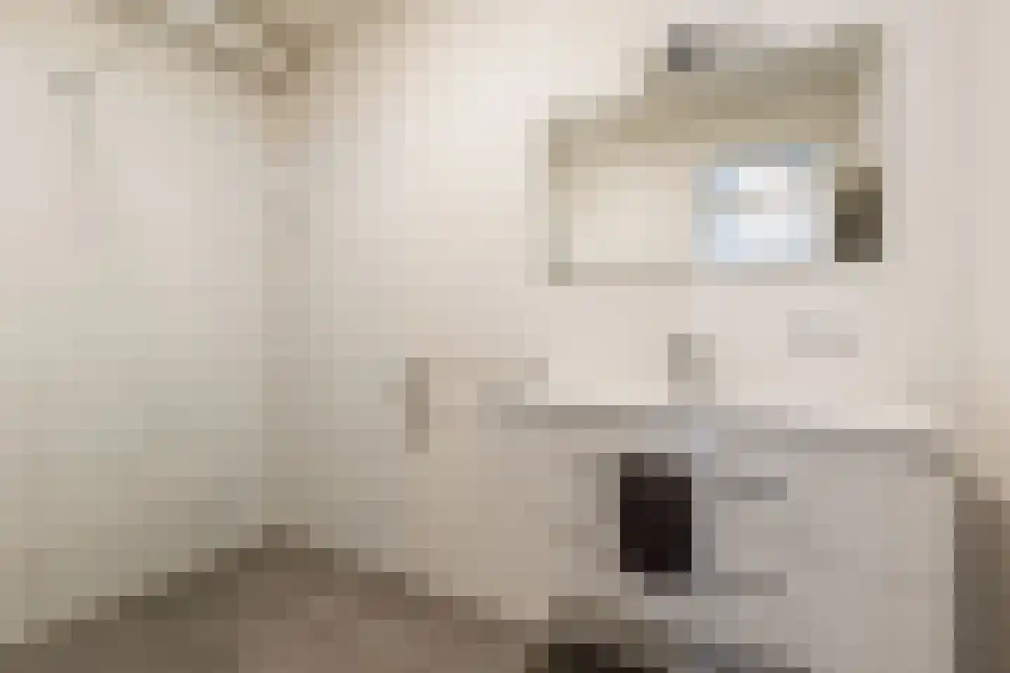 Beverloweg 31 Eindhoven thumbnail 22