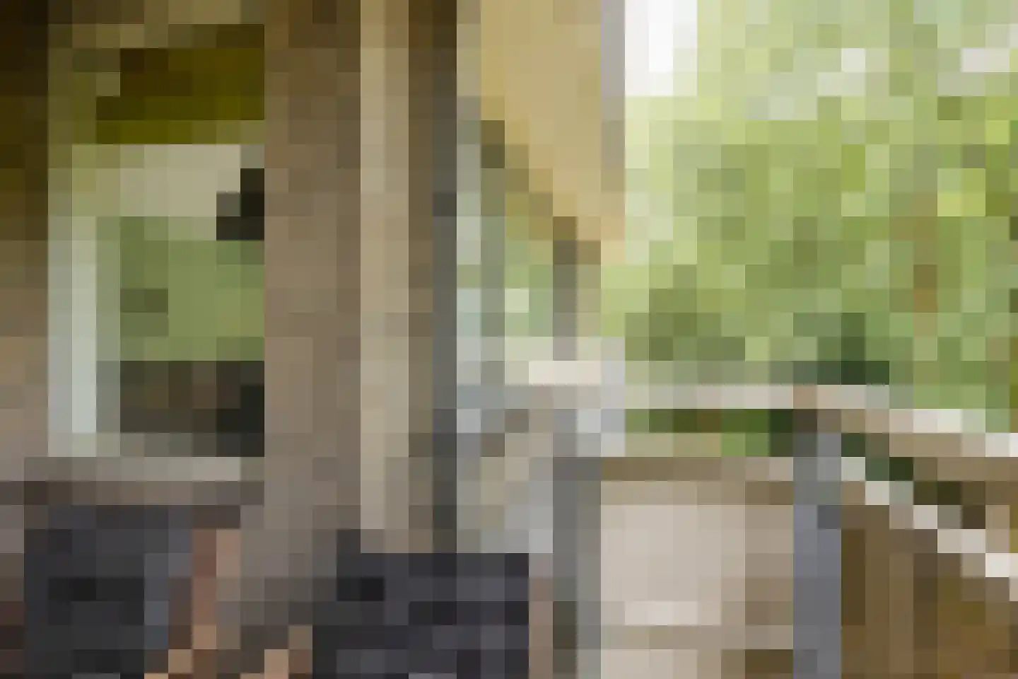 Beverloweg 31 Eindhoven thumbnail 25