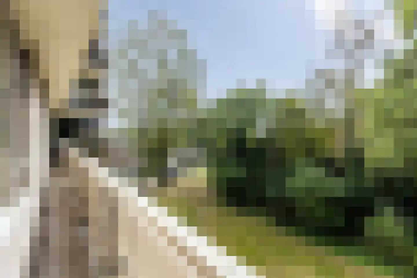 Beverloweg 31 Eindhoven thumbnail 26