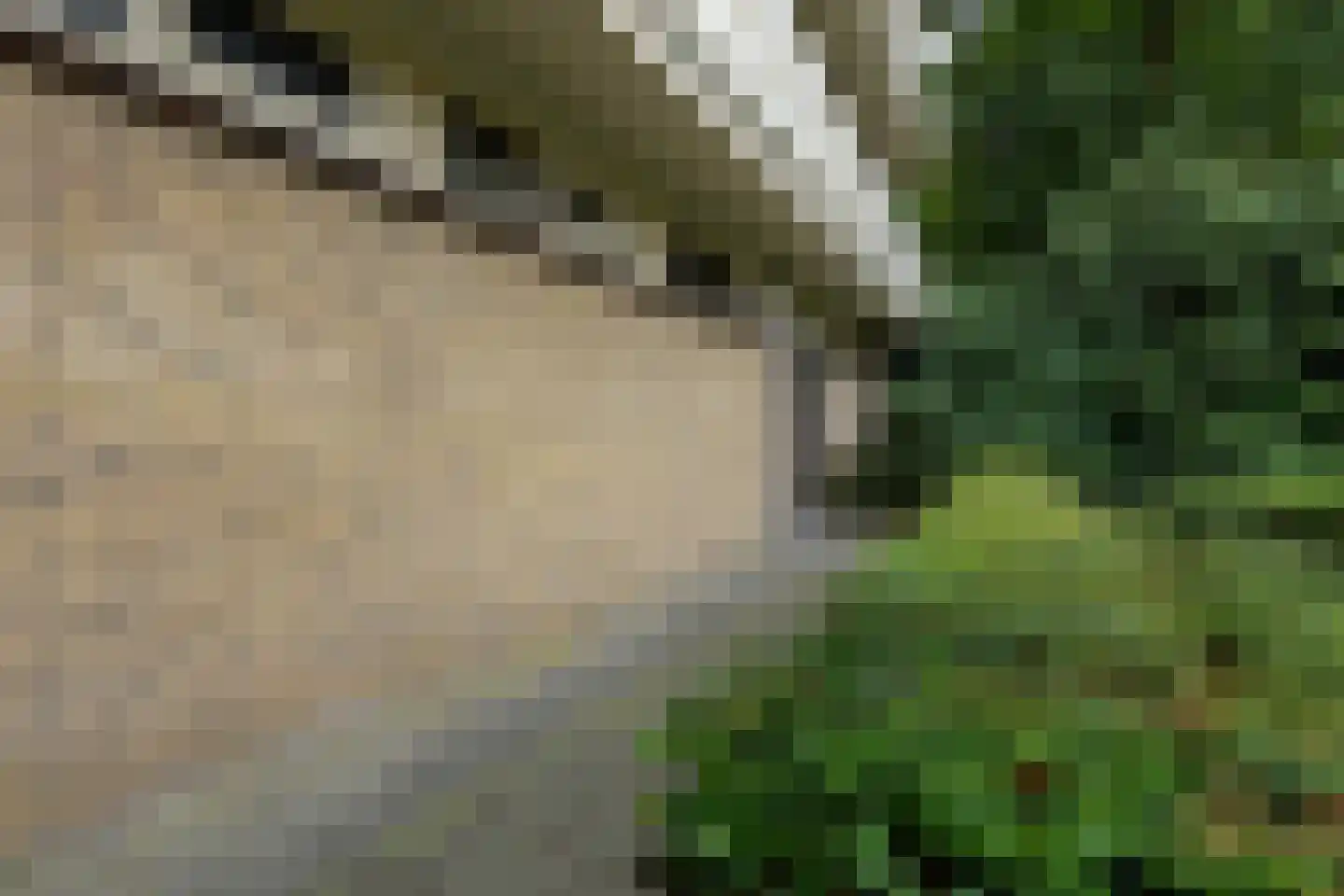 Beverloweg 31 Eindhoven thumbnail 28