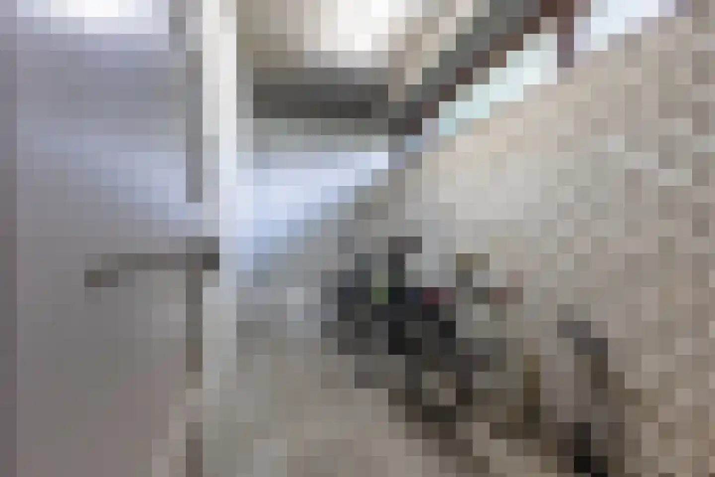Beverloweg 31 Eindhoven thumbnail 28