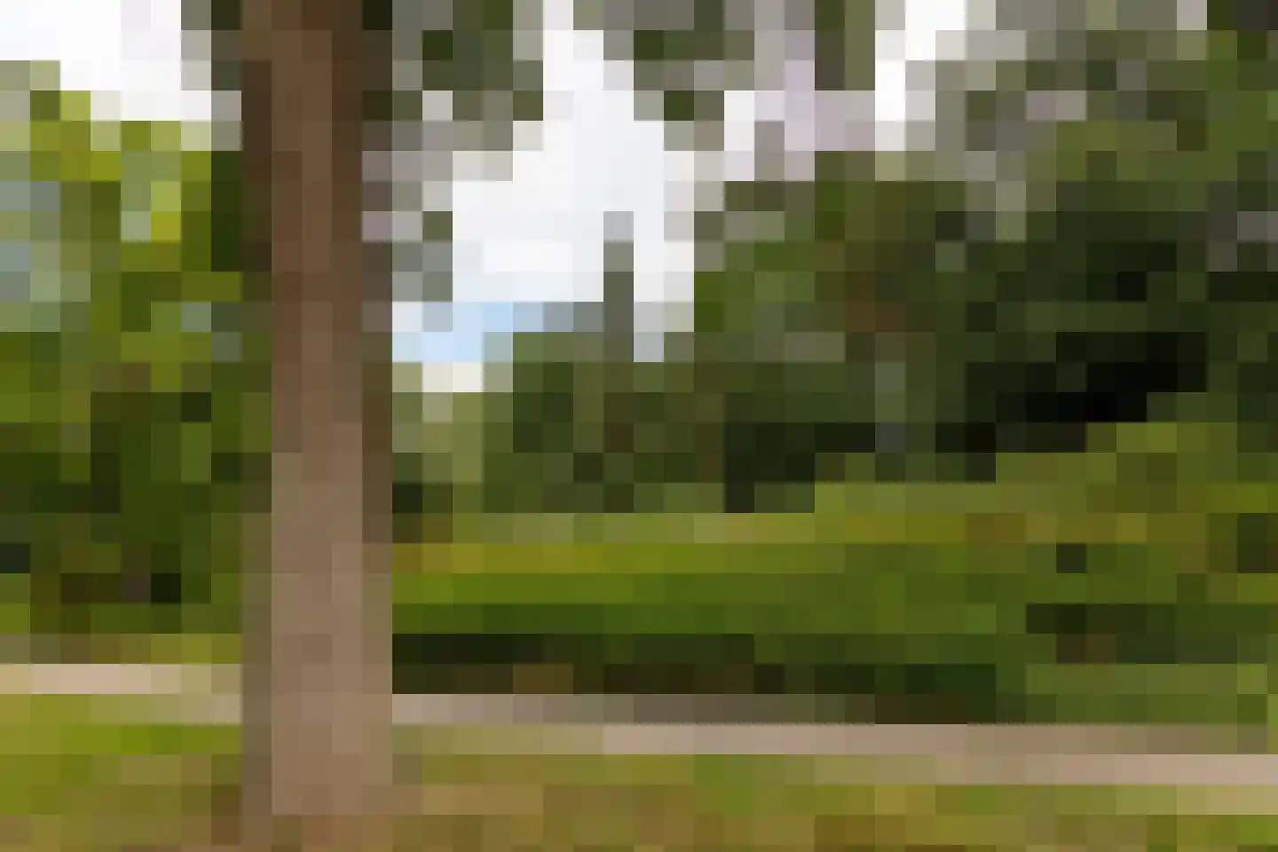 Beverloweg 31 Eindhoven thumbnail 30