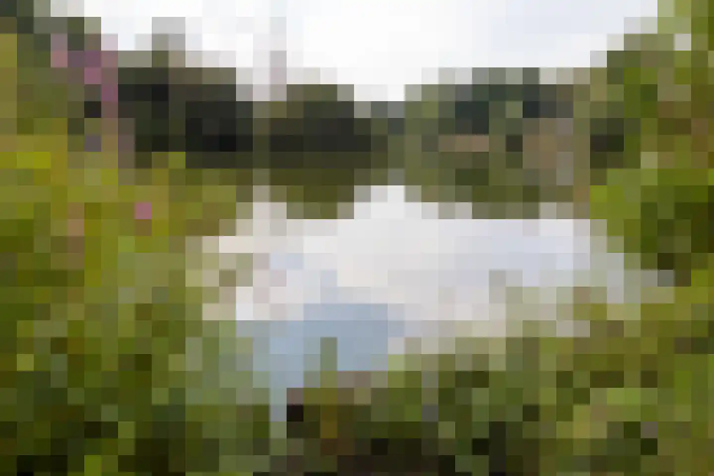 Beverloweg 31 Eindhoven thumbnail 31