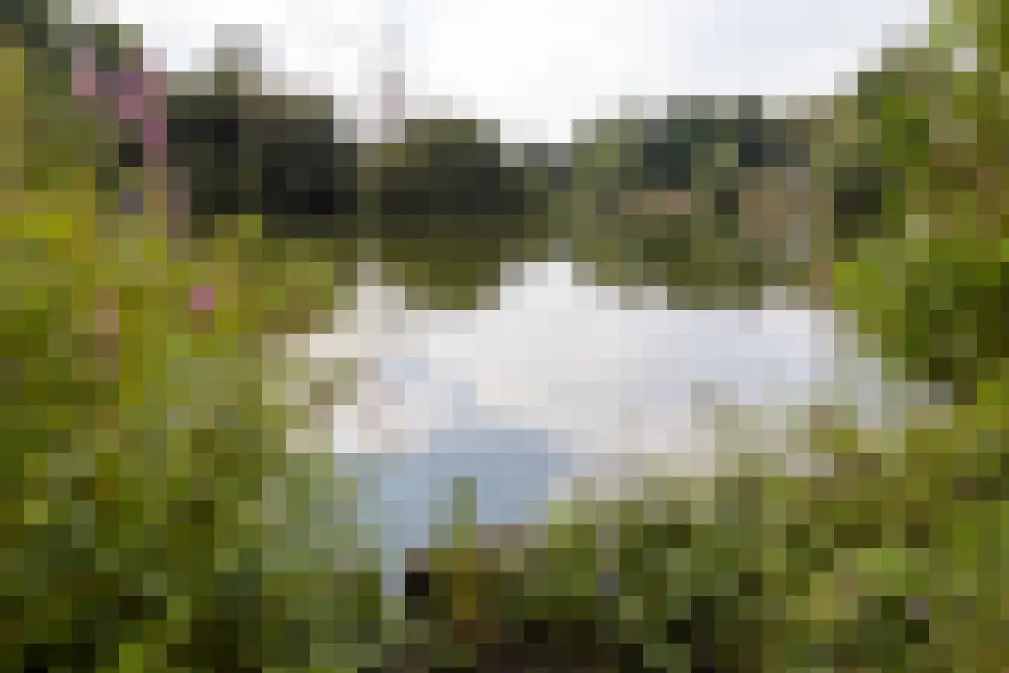 Beverloweg 31 Eindhoven thumbnail 32
