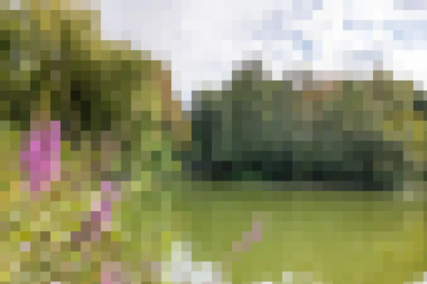 Beverloweg 31 Eindhoven thumbnail 33