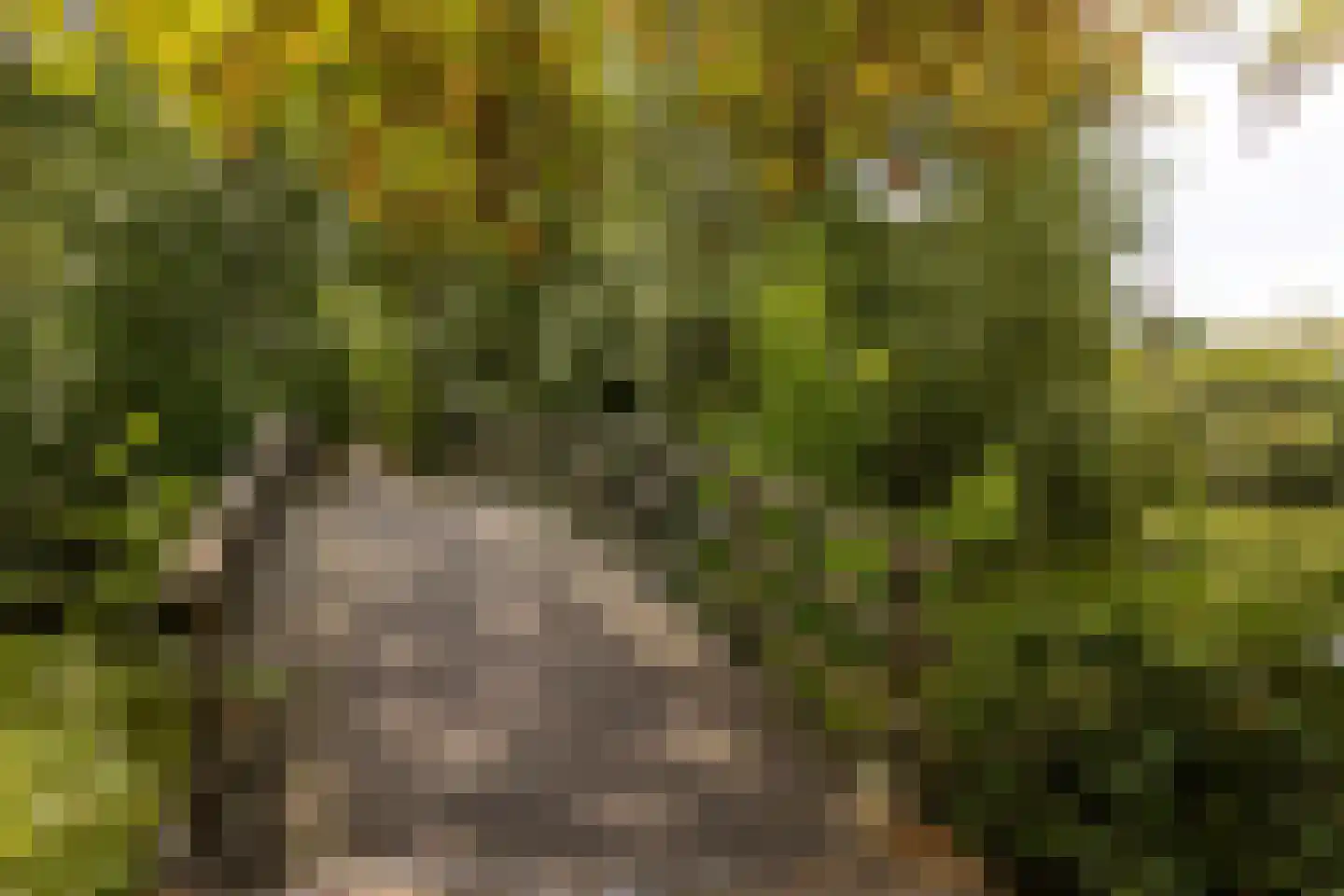 Beverloweg 31 Eindhoven thumbnail 34