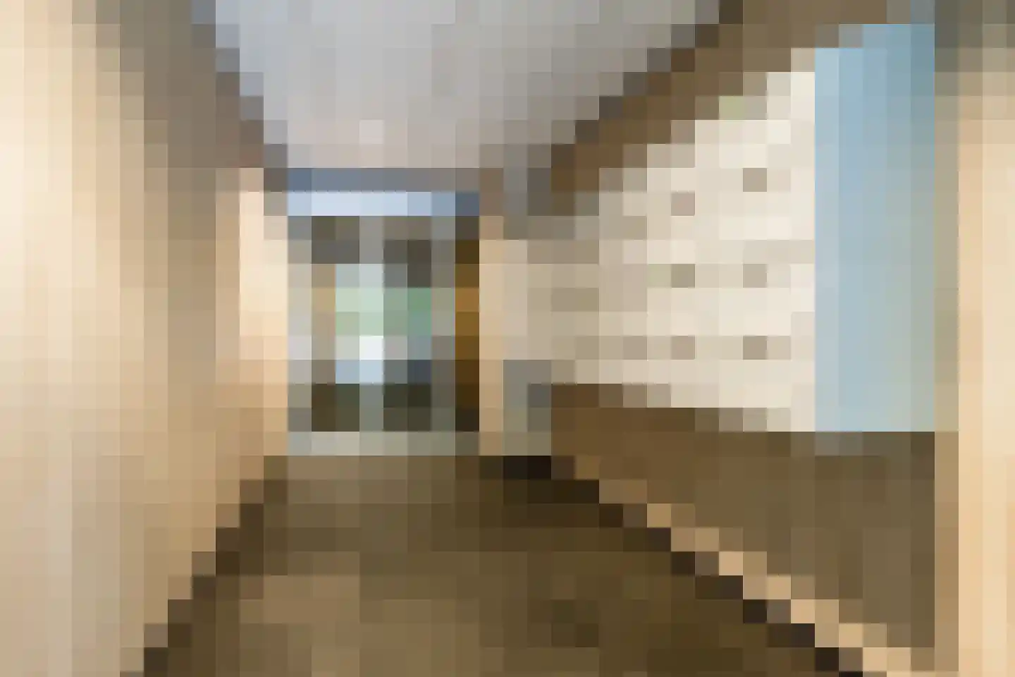Beverloweg 31 Eindhoven thumbnail 8