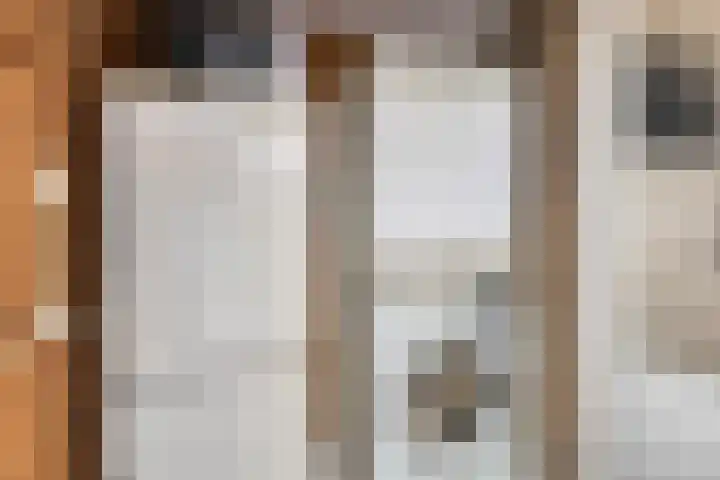Beverloweg 85 Eindhoven thumbnail 14