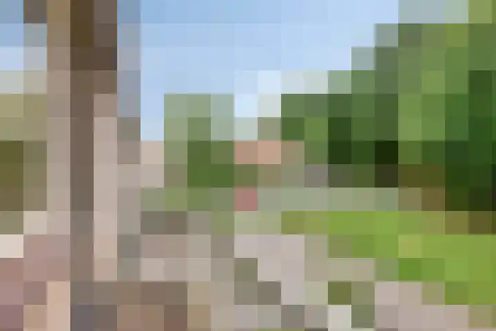 Beverloweg 85 Eindhoven thumbnail 26