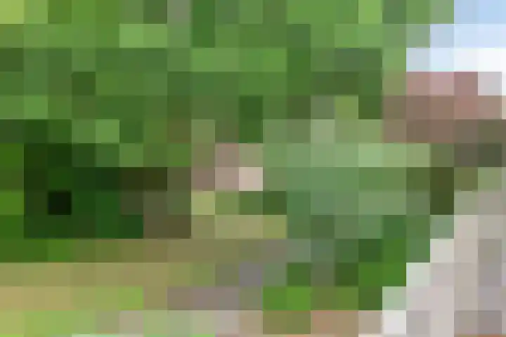 Beverloweg 85 Eindhoven thumbnail 27