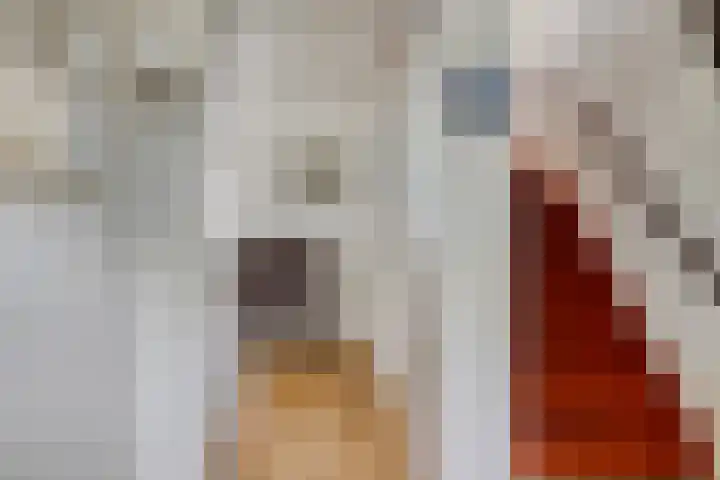 Beverloweg 85 Eindhoven thumbnail 7