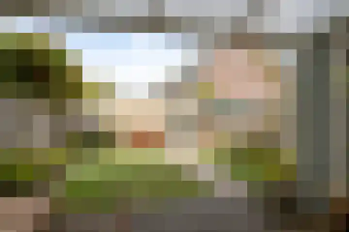 Beverloweg 99 Eindhoven thumbnail 31