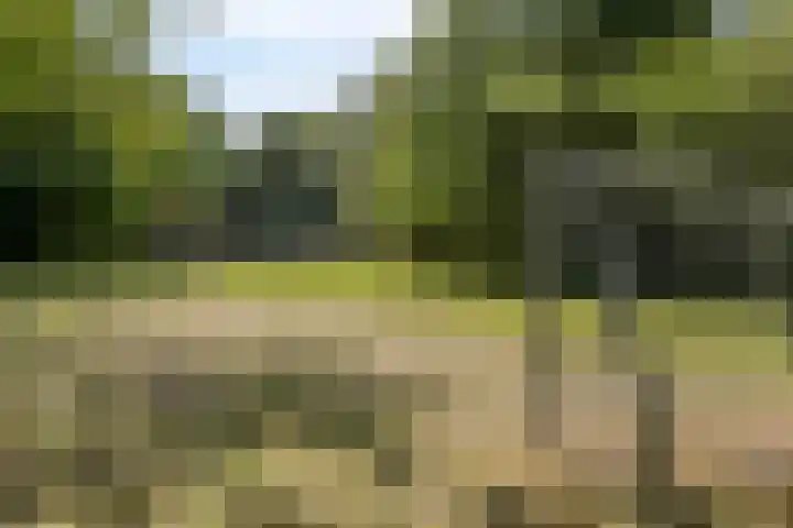 Beverloweg 99 Eindhoven thumbnail 33