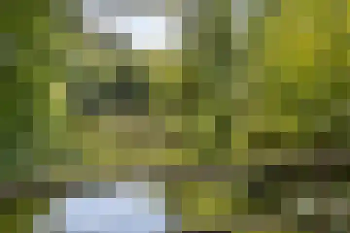 Beverloweg 99 Eindhoven thumbnail 34