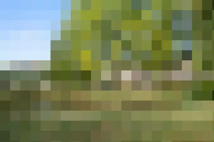 Bevernel 66 Bennekom thumbnail 35