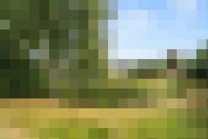 Bevernel 66 Bennekom thumbnail 36