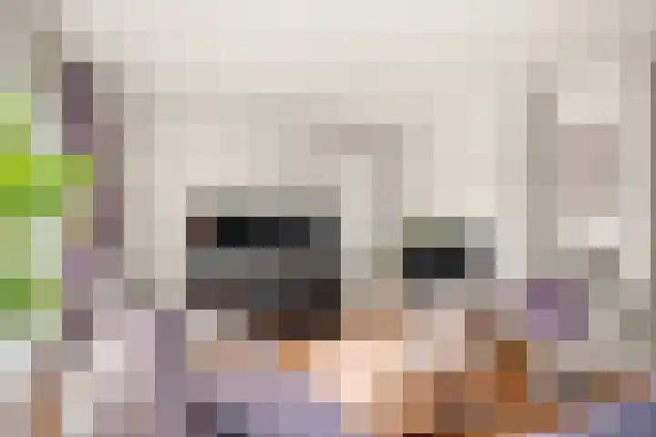 Bevernel 66 Bennekom thumbnail 6