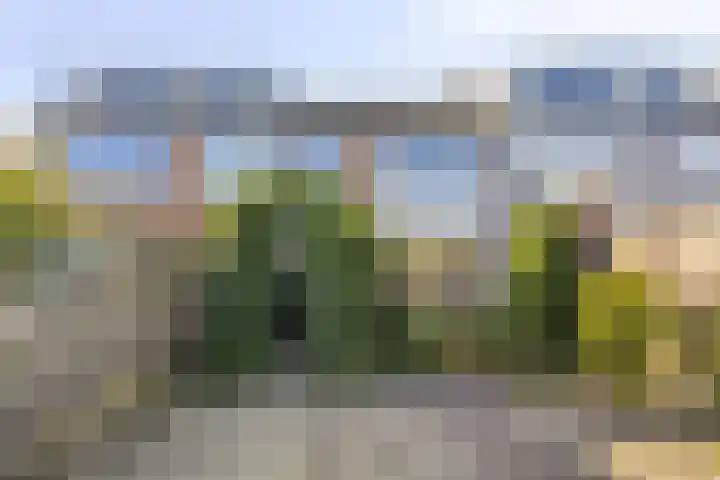 Bevernelstraat 11 Waalwijk thumbnail 15