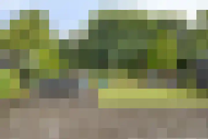 Bevernelstraat 3 Nuenen thumbnail 34