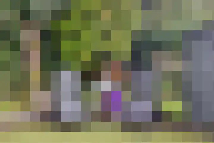 Bevernelstraat 3 Nuenen thumbnail 37