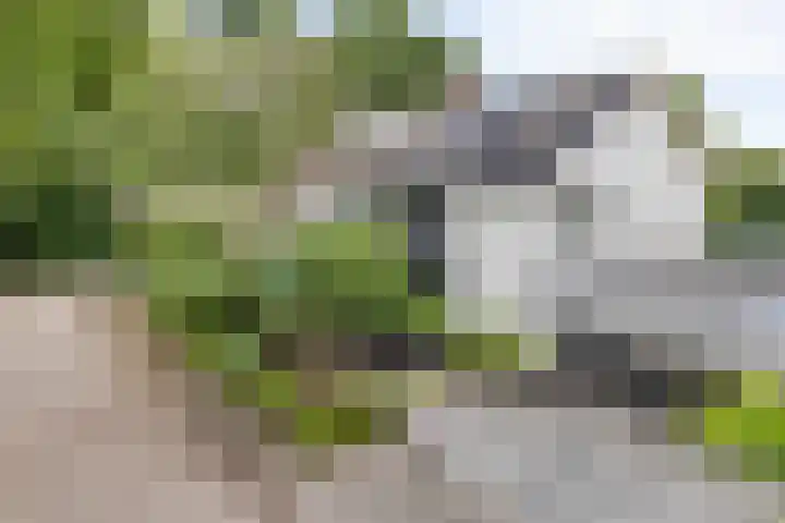 Bevernelstraat 3 Nuenen thumbnail 39