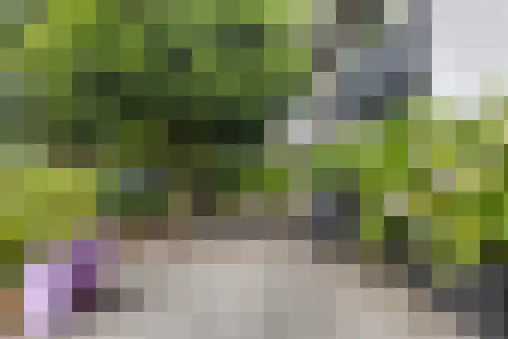Bevernelstraat 3 Nuenen thumbnail 41