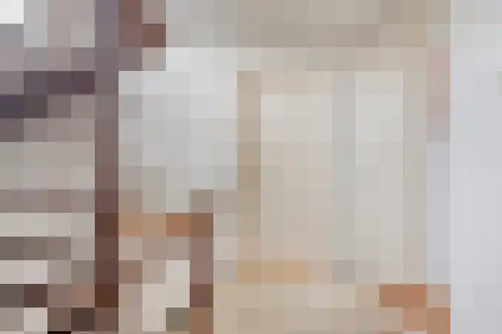 Beverodelaan 18 Dieren thumbnail 18